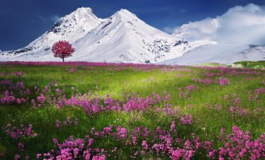 travel albanian alps
