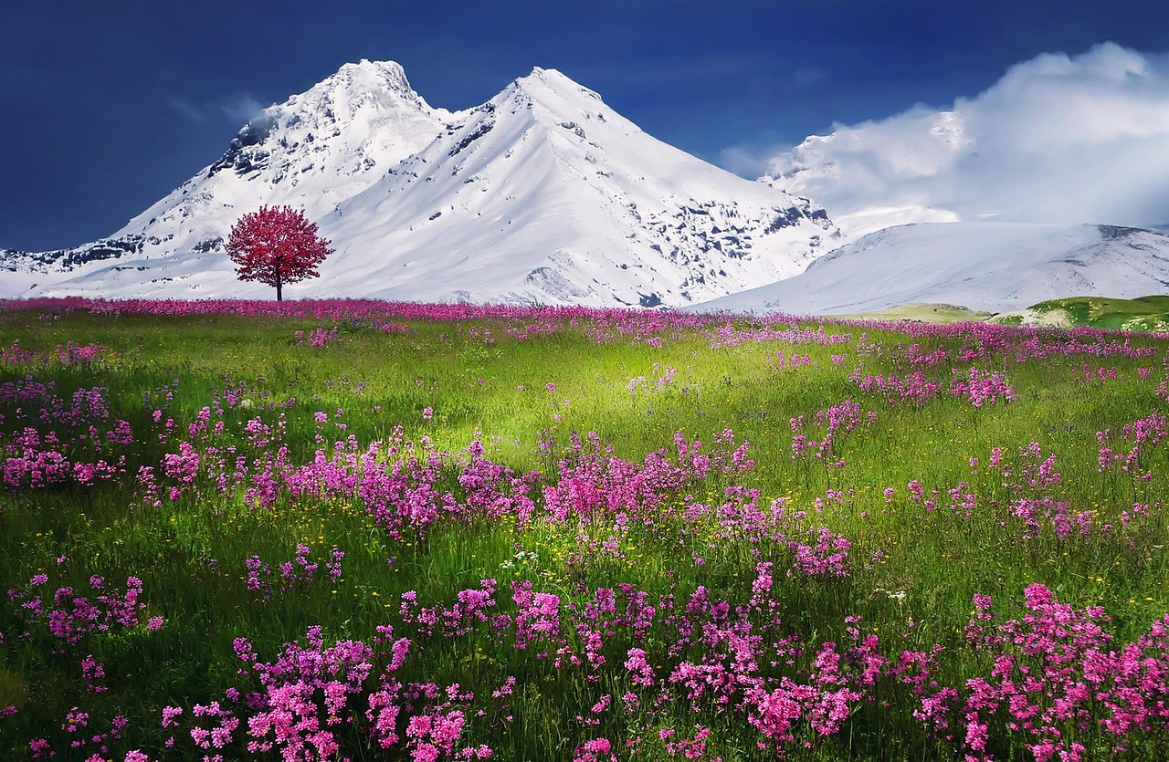 travel albanian alps